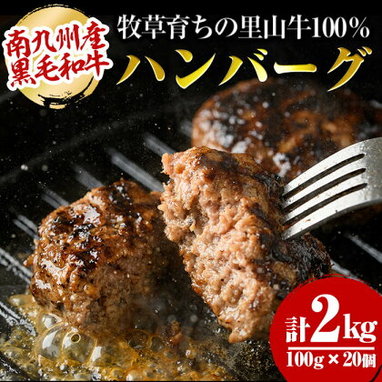 牧草育ちの里山牛100%使用！手作りハンバーグ 2kg (100g×20個）南九州産黒毛和牛のお母さん牛を放牧した里山牛を贅沢に使用！ぎっしりとつまった里山牛の旨みをご堪能ください！焼くだけ簡単！冷凍ハンバーグ【さかうえ】c0-110