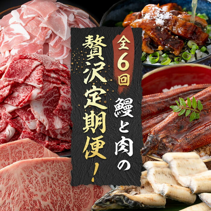 [定期便全6回]鰻と肉の贅沢定期便!鰻とお肉が交互に届くお楽しみ便 定期便 牛肉 ステーキ 鰻 豚肉[楠田淡水][サンキョーミート][志布志市観光特産品協会]t