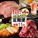 【ふるさと納税】【定期便・全6回】お肉のお楽しみ定期便 総量11.8kg超!牛肉 豚肉 鹿児島県産 九州産 国産 黒毛和牛 鹿児島黒豚 ステーキ すきやき しゃぶしゃぶ とんかつ 餃子 ハンバーグ 冷凍ハンバーグ BBQ【サンキョーミート・カミチク・そお鹿児島・ナンチク】t0118-001