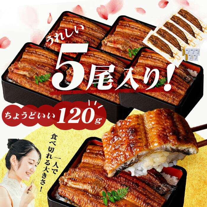 【ふるさと納税】うなぎの柳澤 流水桜うなぎの蒲焼き 計5尾＜計600g＞ うなぎ 鰻 ウナギ 国産 鹿児島県産 九州産 蒲焼き 冷凍 うな重 ひつまぶし【柳沢養鰻】 a9-040