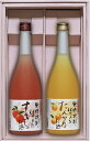 【ふるさと納税】奄美すもも酒・たんかん酒2本セット