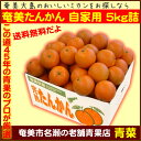 【ふるさと納税】奄美たんかん自家用5kg箱詰【送料無料】