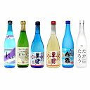 【ふるさと納税】奄美黒糖焼酎 蔵割り 720ml瓶×6本