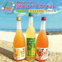 【ふるさと納税】奄美黒糖焼酎で作ったリキュール飲みくらべセッ
