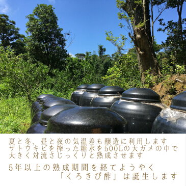 【ふるさと納税】《人気の定期便-12か月コース》島の宝くろきび酢700ml×1本