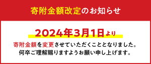 【ふるさと納税】 シルクパウダー フェイスパウダー 絹 コスメ シルク 国産 シルク100％ スキンケア発想のパウダー 美容 絹肌 アーダン化粧品 テカリ防止 化粧直し お取り寄せ お取り寄せコスメ 鹿児島 奄美 送料無料