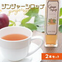 【ふるさと納税】ジンジャー シロップ 2本 セット 200ml × 2本 生姜 島生姜 オーガニック 炭酸割 辛口 ジンジャーエール ジンジャーティー 料理 隠...