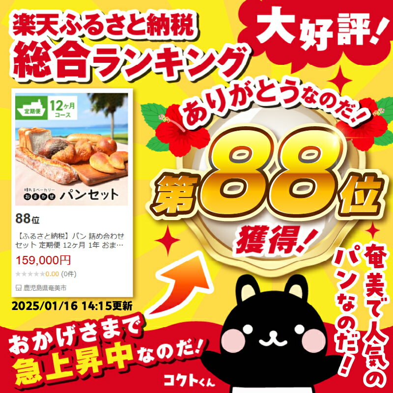 【ふるさと納税】パン 詰め合わせ セット 定期便 12ヶ月 1年 おまかせ 国産小麦 選りすぐり お楽しみ マーガリン不使用 ショートニング不使用 島ざらめ 買い置き 常備 備え 朝食 おやつ もっちり 奄美大島 晴れるベーカリー 白神こだま酵母 冷凍 お取り寄せ 送料無料