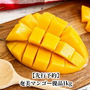  マンゴー 1kg 2~4玉 先行予約分 優品 完熟マンゴー 産地直送 鹿児島県 奄美市 奄美マンゴー 奄美大島 のし対応可 お取り寄せ お取り寄せフルーツ ギフト フルーツ 果物 トロピカル デザート 送料無料