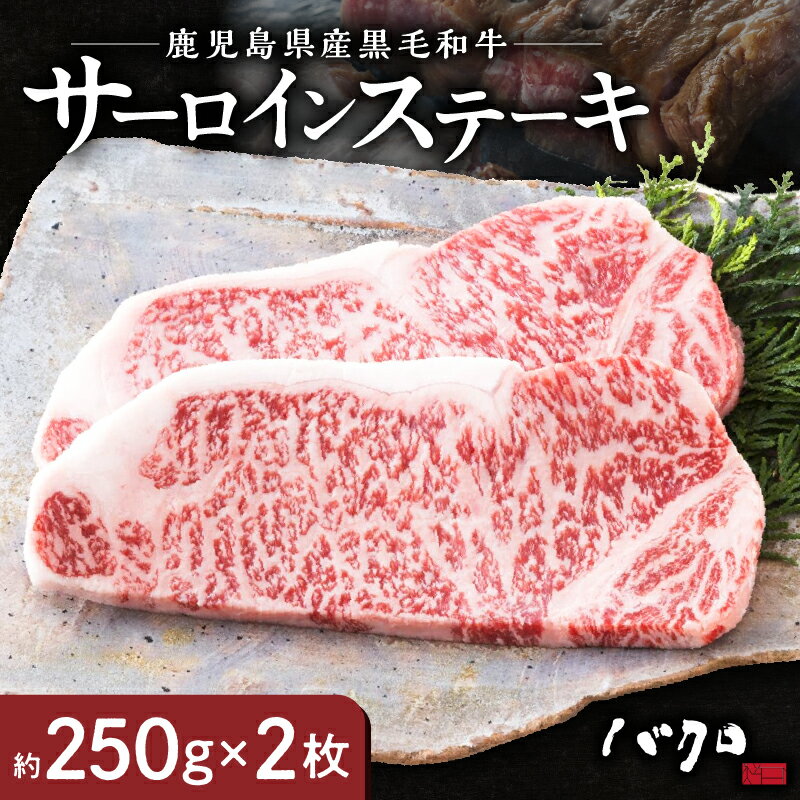 【ふるさと納税】鹿児島黒牛 サーロインステーキ 250g ×