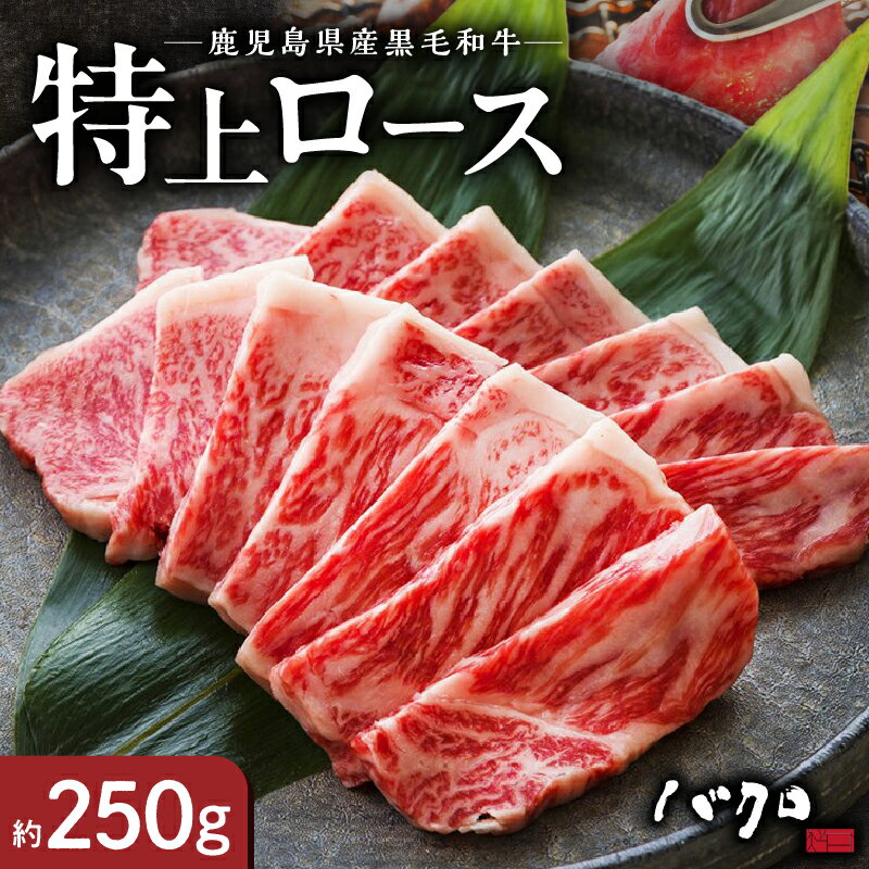 [10月1日価格改定(値上げ)予定] 鹿児島黒牛 特上ロース 焼肉 250g 牛肉 ロース 国産 黒毛和牛 脂の旨み 甘み オレイン酸 鉄板焼き お料理 ごはんのおかず 食品 黒牛 国産牛 国産牛肉 国産和牛 お取り寄せ お取り寄せグルメ 冷凍 鹿児島県 奄美市