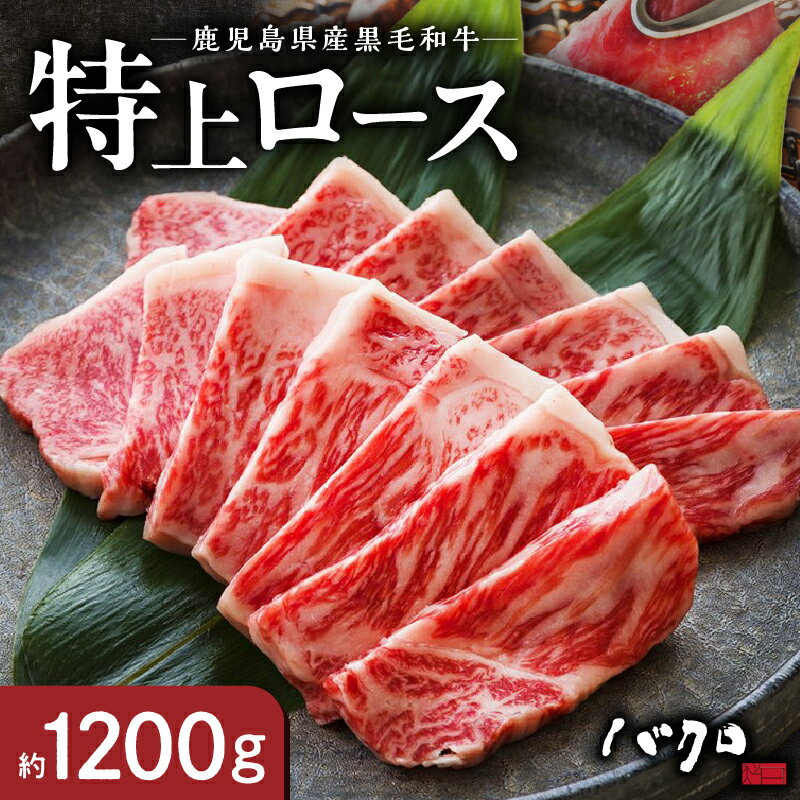 【ふるさと納税】鹿児島黒牛 特上 ロース焼肉 約 1200g