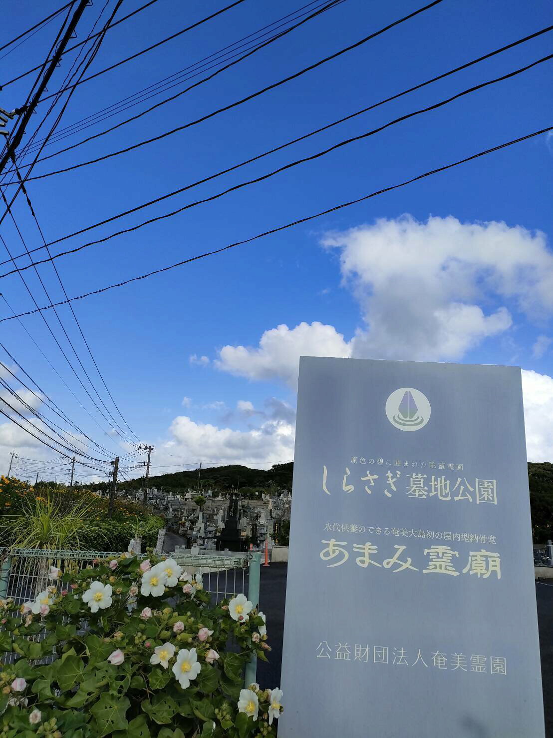 【ふるさと納税】 合同供養納骨壇「永久」 屋内 納骨堂 永代供養 納骨 供養 墓じま...