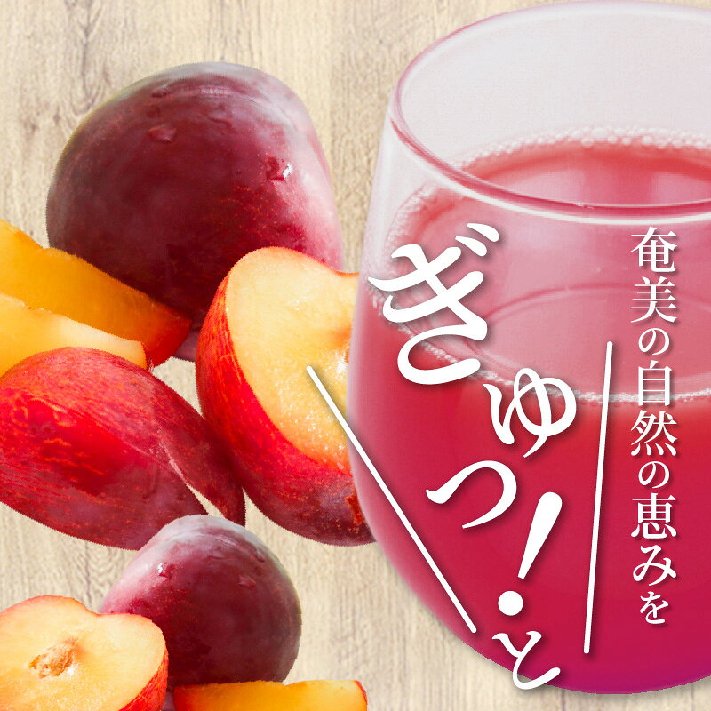 【ふるさと納税】 スモモジュース とれたて 奄美 500ml 3本 セット ビン フルーツジュース 濃縮タイプ 希釈用 f462225-amami-10000053 鹿児島県奄美市 サンプル画像3