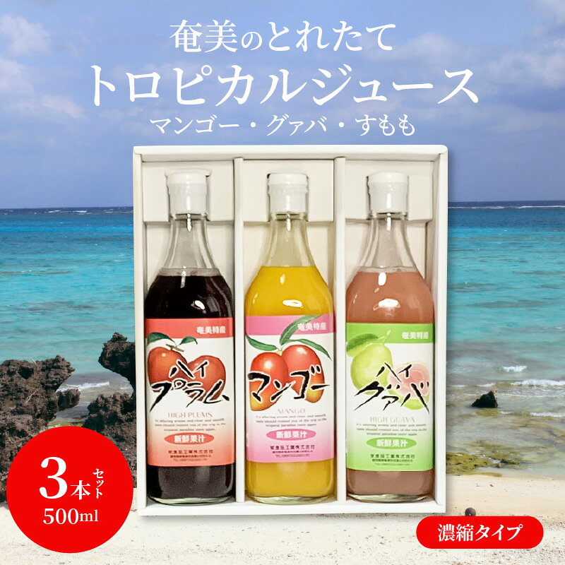 【ふるさと納税】ジュース マンゴー グァバ すもも プラム トロピカル アソート 3本 セット 500ml 奄美 とれたて 果物 フルーツ 濃縮タイプ 希釈用 飲み比べ 詰め合わせ ギフト プレゼント f462225-amami-10000594 鹿児島県奄美市 サンプル画像2