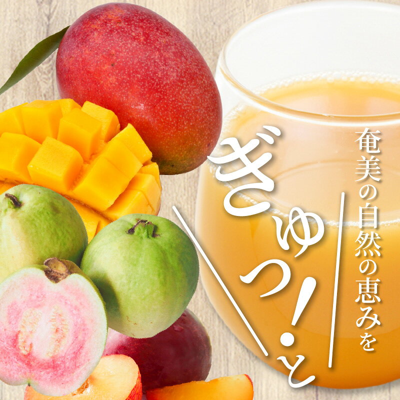 【ふるさと納税】ジュース マンゴー グァバ すもも プラム トロピカル アソート 3本 セット 500ml 奄美 とれたて 果物 フルーツ 濃縮タイプ 希釈用 飲み比べ 詰め合わせ ギフト プレゼント f462225-amami-10000594 鹿児島県奄美市 サンプル画像3