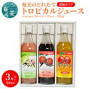 【ふるさと納税】ジュース パッションフルーツ グァバ すもも プラム トロピカル アソート 3本 セット 500ml 奄美 とれたて 果物 フルーツ 濃縮タイプ 希釈用 飲み比べ 詰め合わせ ギフト プレゼント