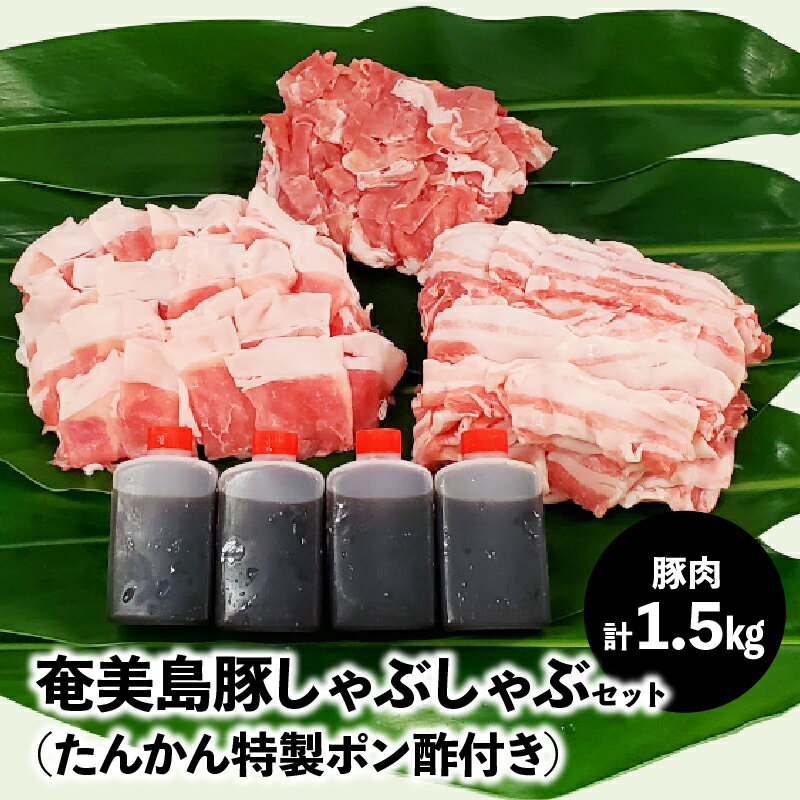【ふるさと納税】豚肉 セット 1.5kg 豚バラ 豚肩ロース