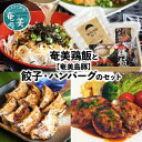 14位! 口コミ数「2件」評価「5」ハンバーグ 2個 餃子 12個 鶏飯 2食分 セット 奄美 島豚 黒豚 簡単 奄美島豚 時短調理 焼くだけ お手軽 郷土料理 島料理 お取り･･･ 