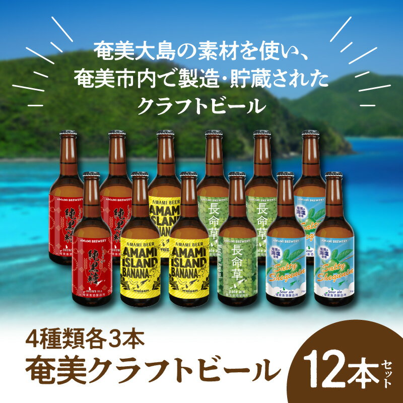 【ふるさと納税】クラフトビール ブラウンエール ヴァイツェン ペールエール 330ml 4種類 各3本 計12本 家飲み ビール 地ビール 瓶ビール 鹿児島 奄美大島 純黒糖 ショウガ 島ばなな 長命草 シークニン ソルティー