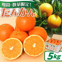 【ふるさと納税】【2026年先行予約】 たんかん 5kg 期間 数量 限定 予約 タンカン 甘い 糖度12度前後 みずみずしい 果汁 キズ有 色むら有 光センサ...