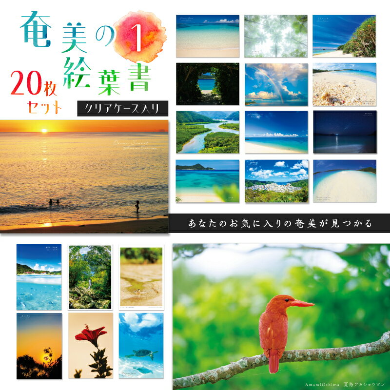 【ふるさと納税】 奄美 の 絵葉書 20枚セット1 クリアケース入り 雑貨 絵はがき ハガキ はがき 写真家 別府亮 花鳥風月 クリアケース 風景 メッセージ ...
