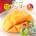 【ふるさと納税】 奄美大島産 マンゴー 約 1kg サイズ 混合 奄美大島産マンゴー 果物 くだもの デザート 朝食 昼食 期間限定 限定 奄美大島 奄美産 美味しい 南国フルーツ グリーンストア ふるさと納税 鹿児島 奄美市 おすすめ ランキング プレゼント ギフト