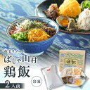 【ふるさと納税】 ばしゃ山村 の 鶏飯 2人前 けいはん 鶏はん 郷土料理 鶏 鶏肉 本場 おもてなし 奄美料理 ソウルフード だし スープ 天然塩 具材 自家...