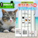 【ふるさと納税】【奄美の保護猫支援 ワクチン代】+ ポストカード & クリアファイル セット お手紙 ファイル A4 文具 文房具 猫デザイン 猫カフェ 保護猫...