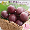 【ふるさと納税】【2025先行予約】 奄美大島産 パッションフルーツ 家庭用 1kg 12玉 〜 15玉 パッション フルーツ 果物 トロピカル 南国 甘い 甘...