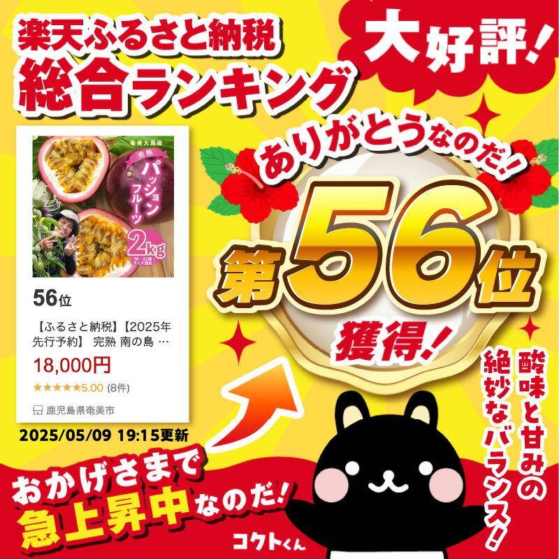 鹿児島県奄美市の画像2