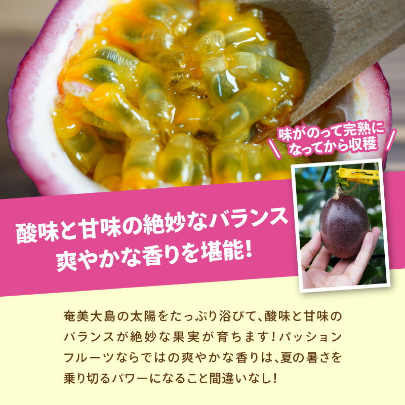 鹿児島県奄美市の画像3