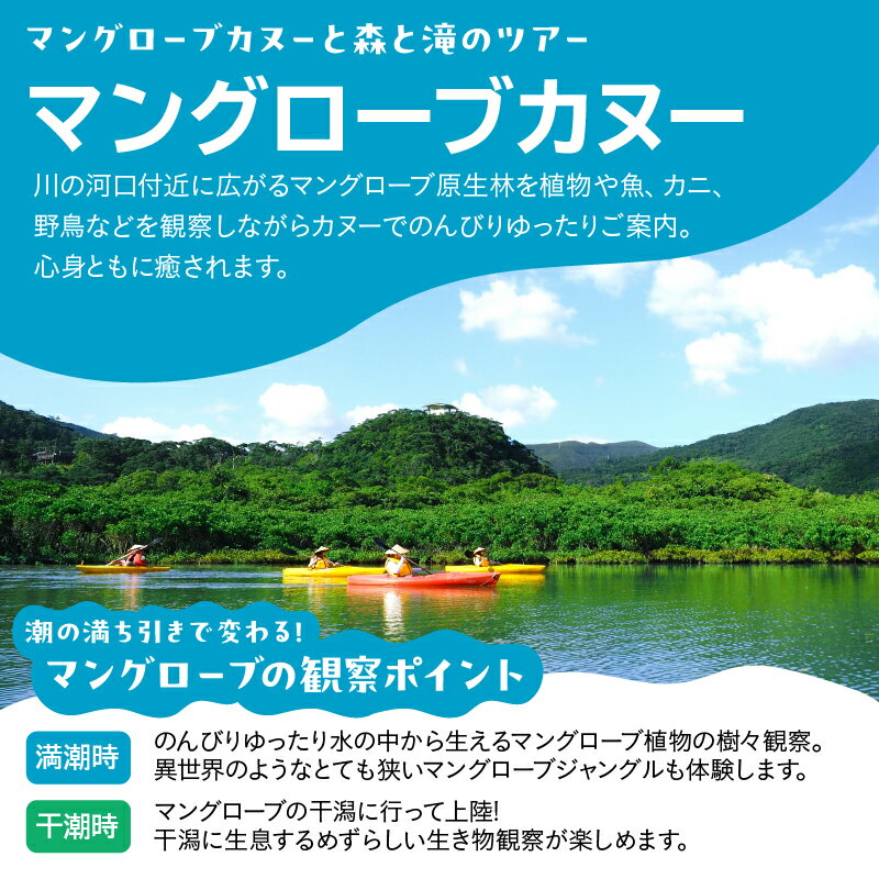 【ふるさと納税】 マングローブ カヌーと森と滝のツアー 1名 ツアー 少人数 カヌー ガイド 自然 体験 チケット 生き物 観察 植物 魚 カニ 野鳥 河口 モダマ 森 滝 フナンギョの滝 アマミュゼ スローガイド奄美 鹿児島県 奄美市 おすすめ ランキング プレゼント ギフト