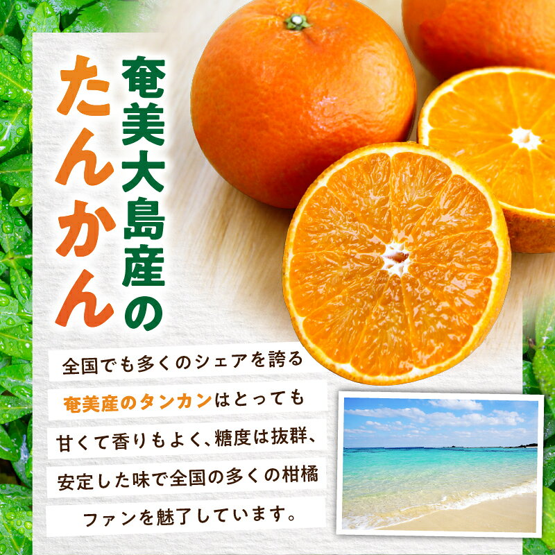鹿児島県奄美市の画像2