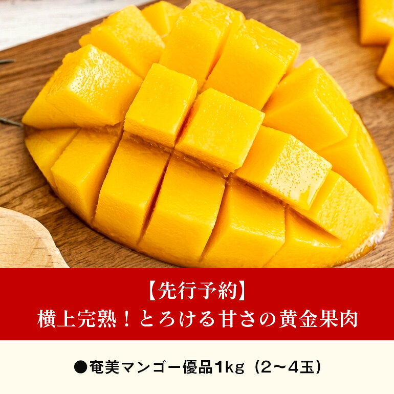 【ふるさと納税】【2026年先行予約】 マンゴー 1kg 約2〜4玉 優品 美玉 観光雑誌付き 奄美産 とろける甘さの黄金果肉 樹上完熟 完熟 奄美マンゴー のし対応可 鹿児島県 奄美市 お取り寄せ フルーツ 果物 トロピカル フルーツ 南国フルーツ ギフト 送料無料
