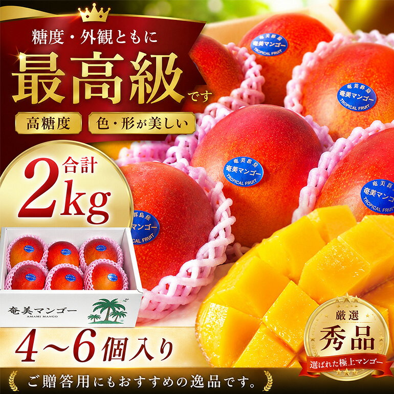 【ふるさと納税】【2026年先行予約】 マンゴー 2kg 4〜6玉 秀品 美玉 観光雑誌付き 奄美産 とろける甘さの黄金果肉 樹上完熟 完熟 奄美マンゴー のし対応可 鹿児島県 奄美市 お取り寄せ フルーツ 果物 トロピカル フルーツ 南国フルーツ ギフト 送料無料 f462225-amami-10000793 鹿児島県奄美市 サンプル画像2