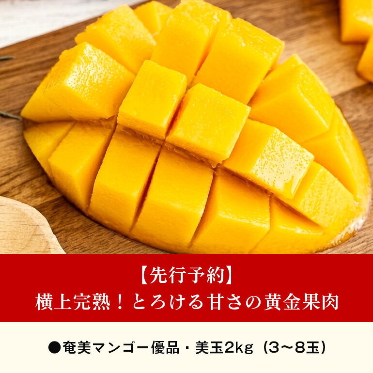 【ふるさと納税】【2026年先行予約】 マンゴー 2kg 3～8玉 優品 美玉 観光雑誌付き 奄美産 とろける甘さの黄金果肉 樹上完熟 完熟 奄美マンゴー のし対応可 鹿児島県 奄美市 お取り寄せ フルーツ 果物 トロピカル フルーツ 南国フルーツ ギフト 送料無料