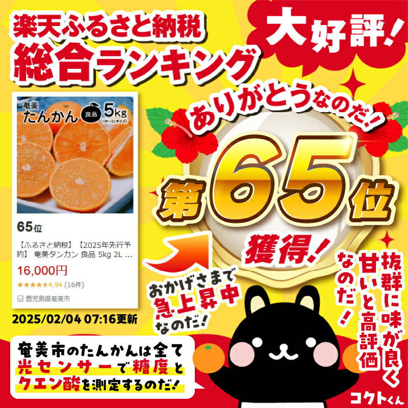 鹿児島県奄美市の画像2