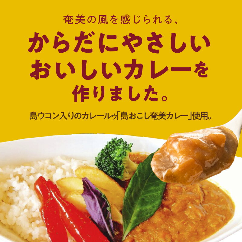 【ふるさと納税】選べる袋数 レトルトカレー チキンカレー パパイヤ入り 180g 島ウコン 島料理 島おこし 青パパイヤ パパイン ポリフェノール ビタミンC オリジナルパッケージ 泉健太 カレー 鹿児島県 奄美市 お取り寄せ あしたば園島じゅうり加工場 送料無料