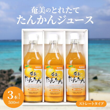 たんかんジュース とれたて 果汁100％ 奄美 500ml 3本 瓶 セット フルーツジュース