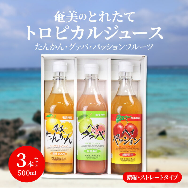 トロピカルフルーツ ジュース たんかん グァバ パッションフルーツ アソートセット 希釈 500ml 3本 セット 瓶 奄美産 とれたて 果物 フルーツ