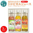 【ふるさと納税】ジュース マンゴー パッションフルーツ グァバ トロピカル アソート フルーツジュース 3本 セット 500ml 奄美 とれたて 果物 フルーツ 濃縮タイプ 希釈用 飲み比べ 詰め合わせ ギフト プレゼント 常温 送料無料