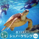 【ふるさと納税】 アクティビティ 体験型 シュノーケリング ウミガメ 2名分 水中写真 ガイド付 完全貸切