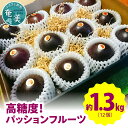 【ふるさと納税】【2025年先行予約】<厳選大玉>高糖度! パッションフルーツ 約1.3kg 12個 国産 果物 奄美大島 農家直送 ビタミン カリウム 葉酸 ...