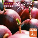 【ふるさと納税】【2025年先行予約】 奄美大島産 パッションフルーツ 3kg サイズ混合 完熟パッションフルーツ 果物 フルーツ 南国フルーツ 先行受付 先行...