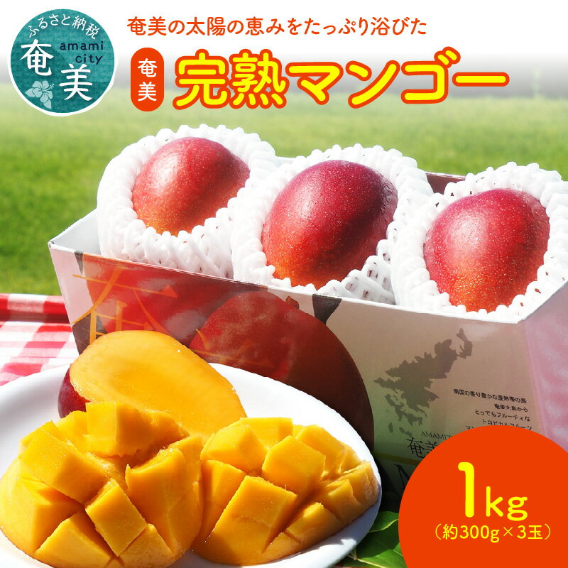 【ふるさと納税】 濃厚 完熟 マンゴー 1kg 約 300g