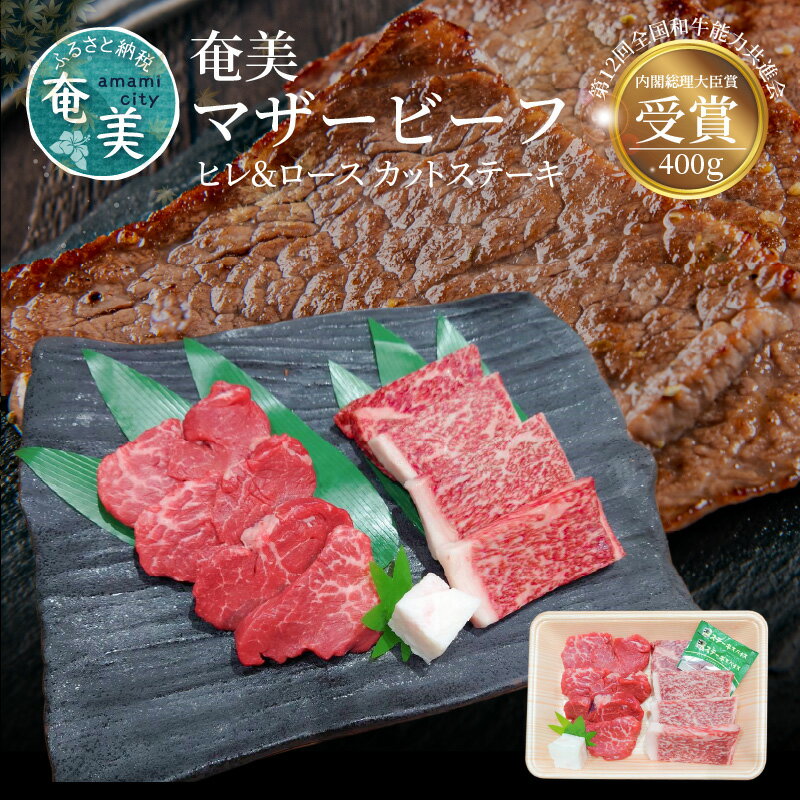 【ふるさと納税】牛肉 奄美マザービーフ ヒレ ロース ステー