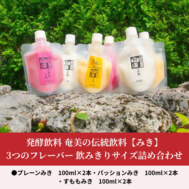 【ふるさと納税】奄美伝統飲料 みき 詰め合わせ セット 100ml 3種類 各2本 飲みきりサイズ 添加物不使用 プレーン パッション すもも 飲みやすい 爽やかな風味 発酵飲料 ドリンク 飲み物 フルーツ お取り寄せ 鹿児島県 奄美市 送料無料