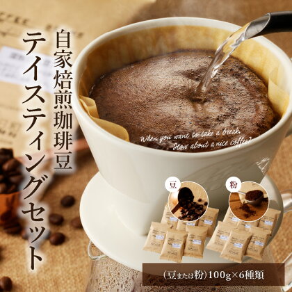 コーヒー 自家焙煎 豆 粉 選べる 100g 6種類 テイスティングセット 浅煎り 中煎り 深煎り 海外産豆 エチオピア グァテマラ ブラジル コスタリカ インド インドネシア ケニア 自家焙煎珈琲こん日和