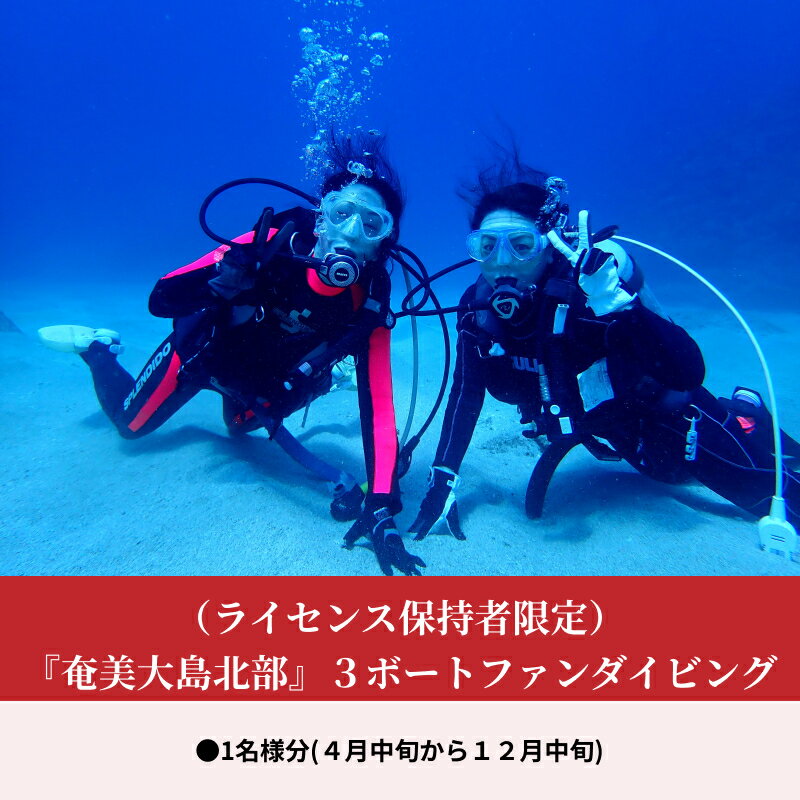 【ふるさと納税】3ボート ファンダイビング ダイビング 利用券 チケット 1名様分 奄美大島北部 太平洋 東シナ海側 ライセンス保持者限定 アクティビティ ミステリーサークル スポーツ マリンスポーツ 鹿児島県 奄美市 送料無料